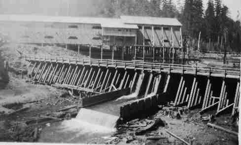 Salkum Mill & Dam